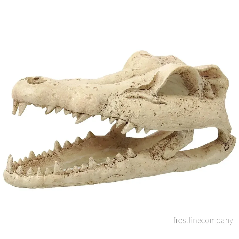 ReptiPlanet Small Crocodile Skull 13,8×6,8×6,5cm