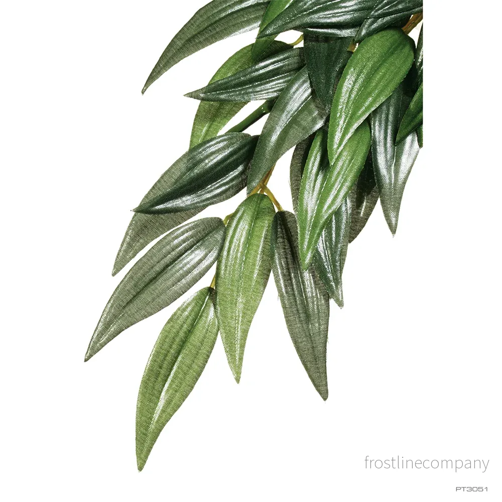 Exo Terra Rucus - Bild 3