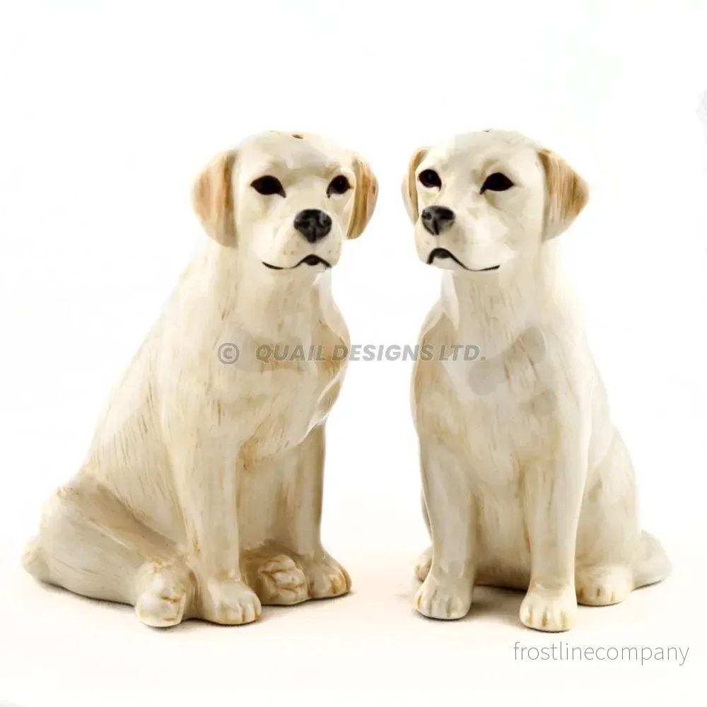 Salt och peppar Labrador gul Salt och peppar Labrador gul
