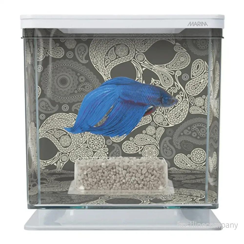 Marina Betta Kit – Skull 2 L Vit - Bild 2