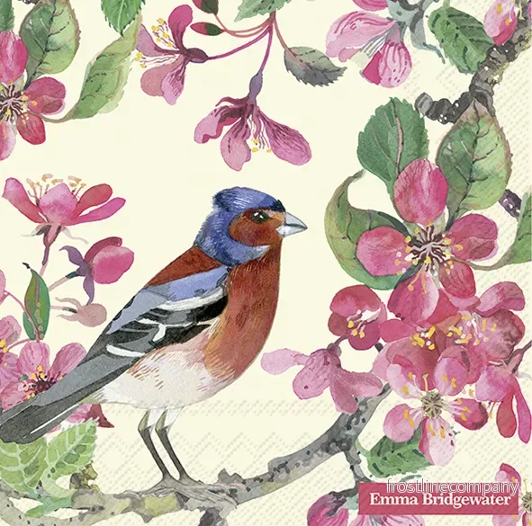 Servetter Blossom Emma Bridgewater Servetter Blossom Emma Bridgewater