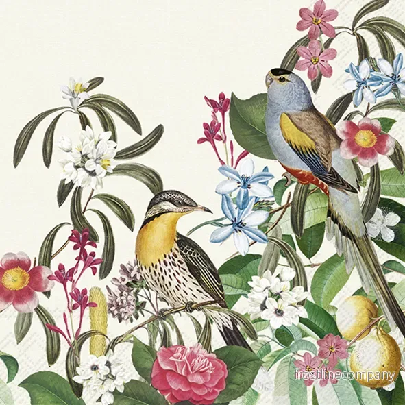 Servetter Jungle Birds Servetter Jungle Birds