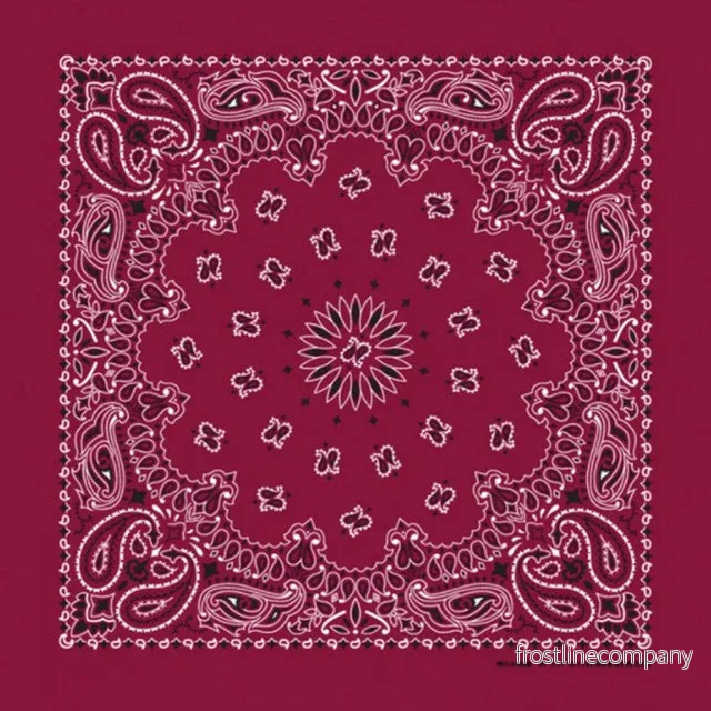 Bandana Paisley Vinröd Bandana Paisley Vinröd