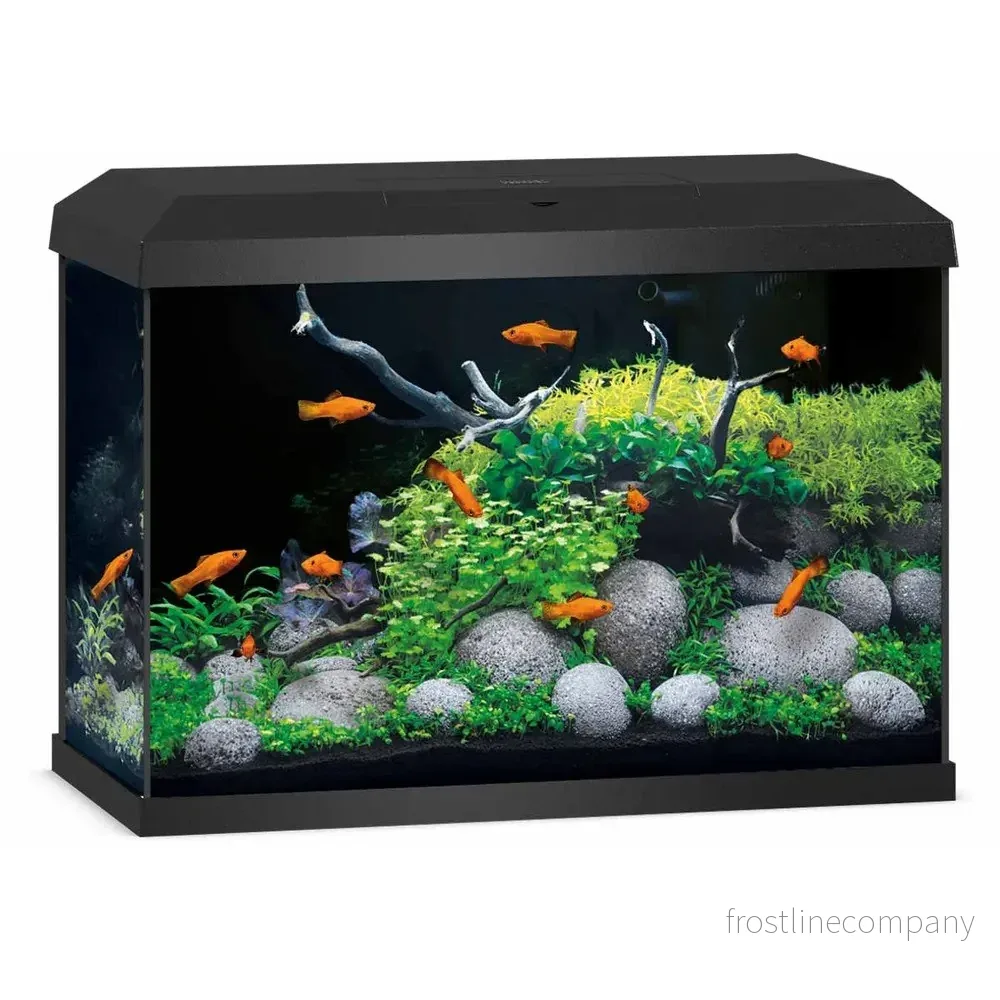 JUWEL Primo 70 LED 2.0 startpaket 70L – 61x31x44cm
