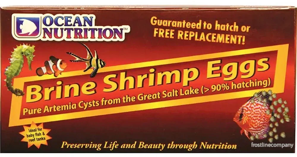 Ocean Nutrition Brine Shrimp Eggs – Kläckbara Artemiaägg - Bild 3