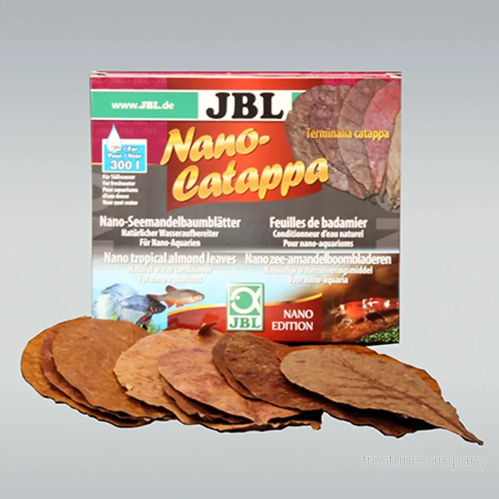 JBL Nano-Catappa 10 blad – Tropiska mandelblad för nanoakvarium - Bild 2