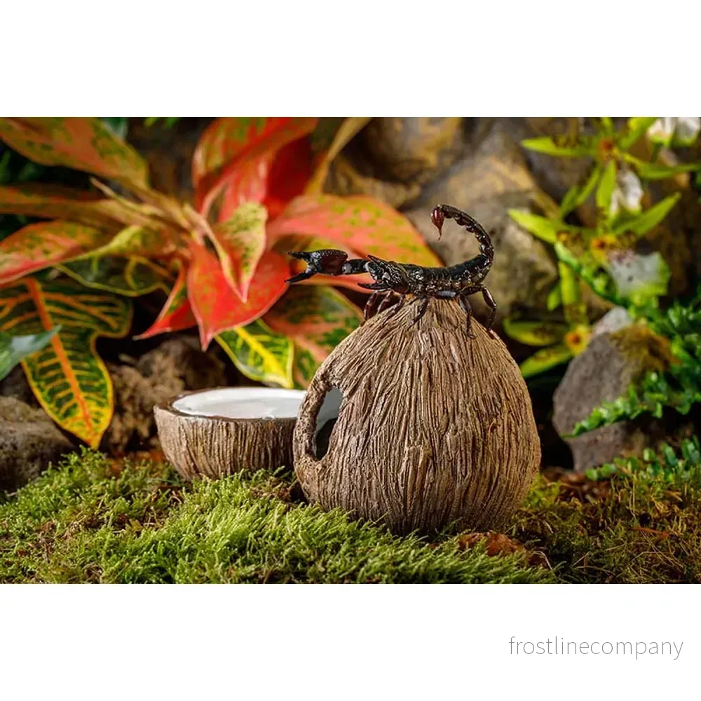 Exo Terra Coconut Hide - Bild 3