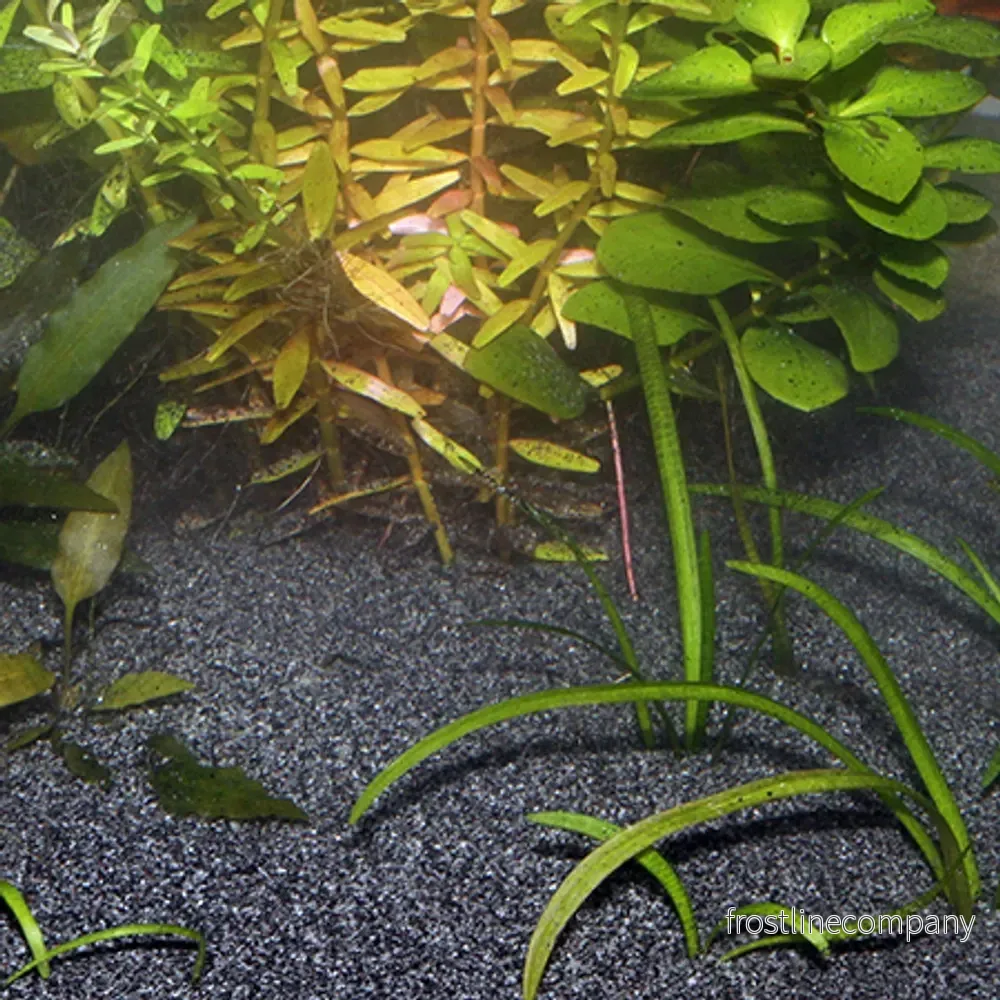 JBL Sansibar Dark – Mörkgrå, fin sand för akvarium (5–10kg) - Bild 3