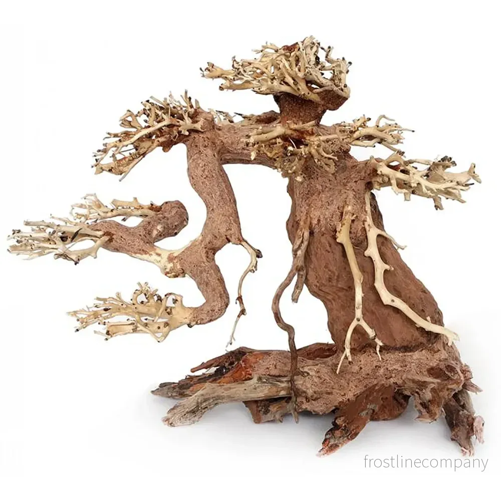 Ozami Bonsai Wood L – Bonsaiträd i naturträ 30×23×15cm Ozami Bonsai Wood L – Bonsaiträd i naturträ 30×23×15cm