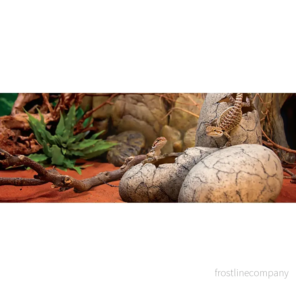 Exo Terra Dinosaur Eggs - Bild 3