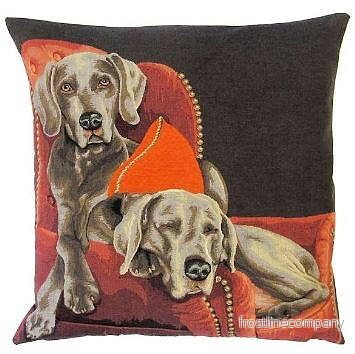 Kudde Weimaraner Kudde Weimaraner