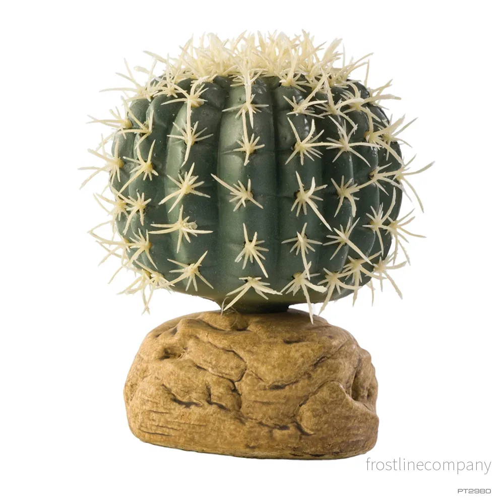 Exo Terra Barrel Cactus Exo Terra Barrel Cactus
