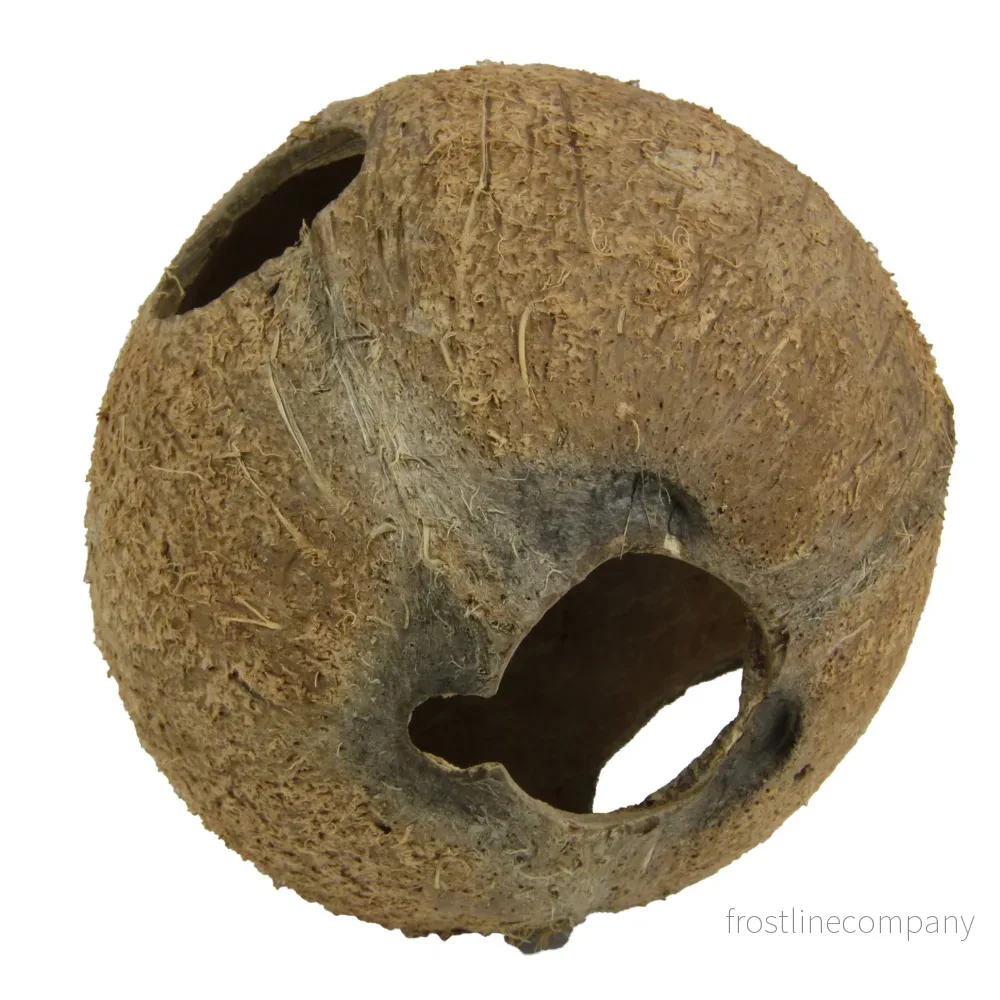 JBL Cocos Cava 1/1 Large - Bild 3