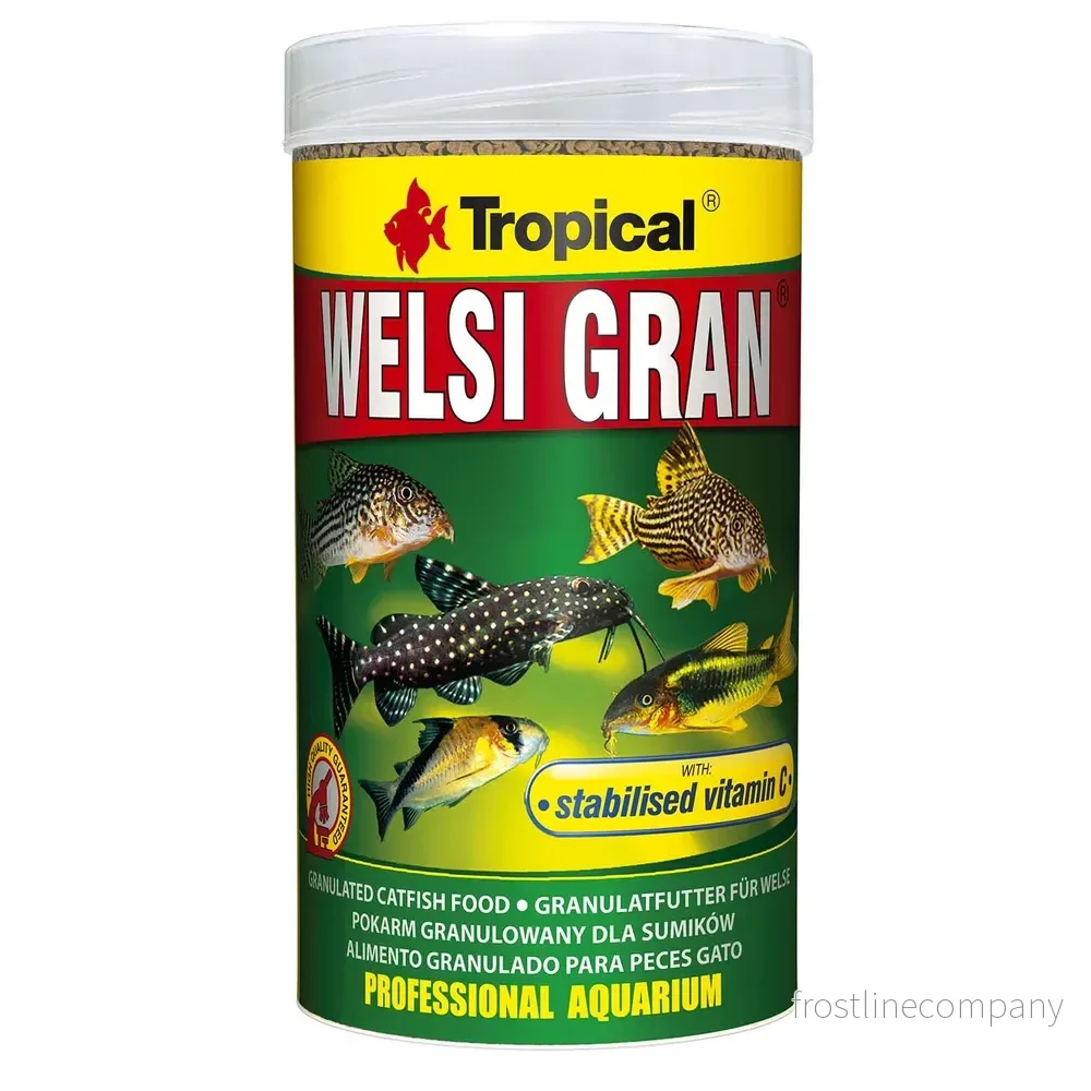 Tropical Welsi Gran - Bild 2