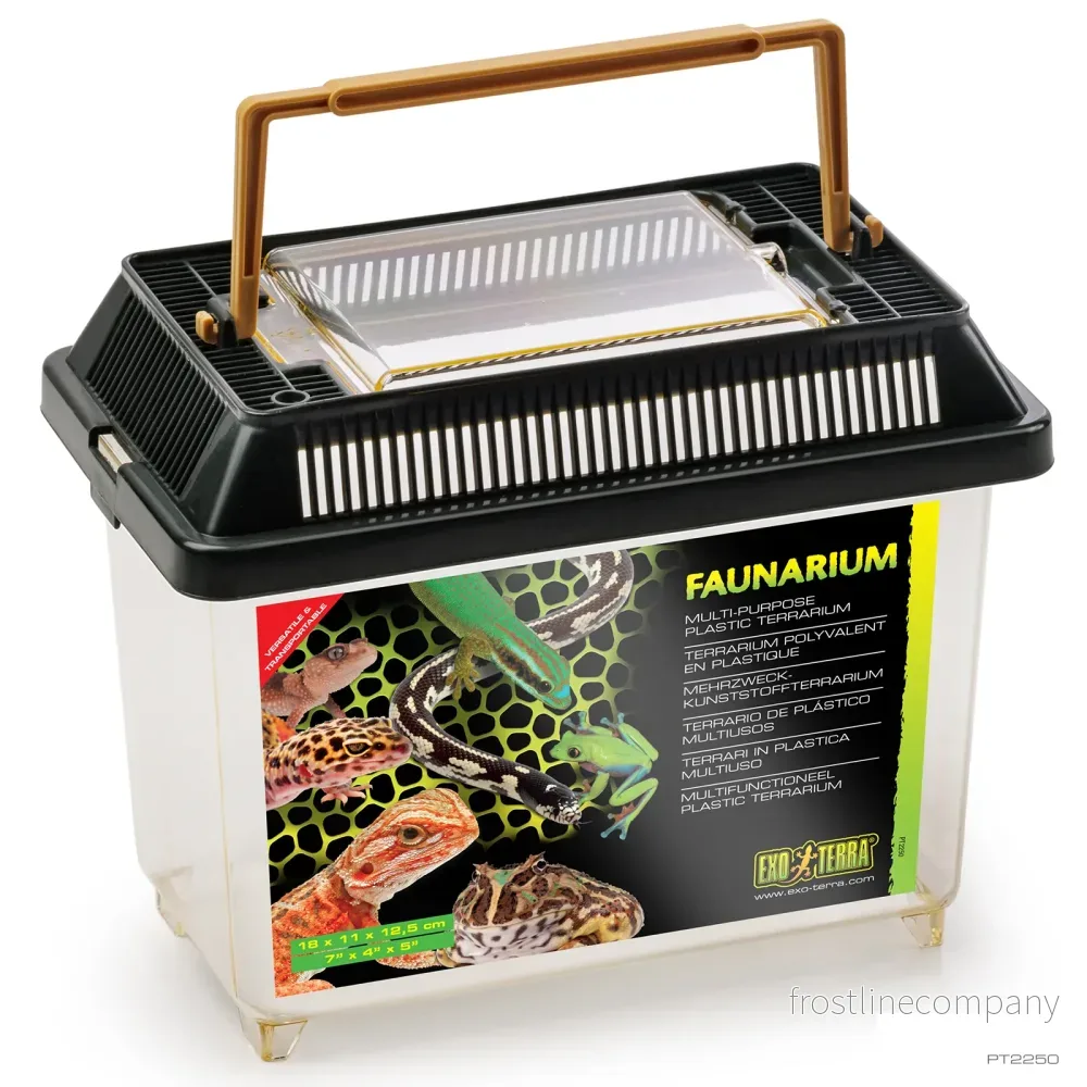 Exo Terra Faunarium - Bild 3
