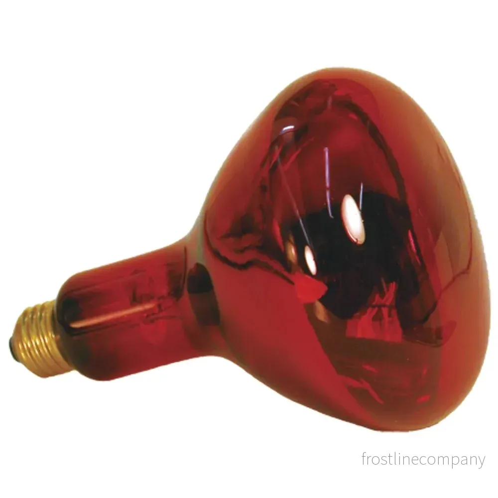 ZooMed Nocturnal Infrared Heat Lamp - Bild 3