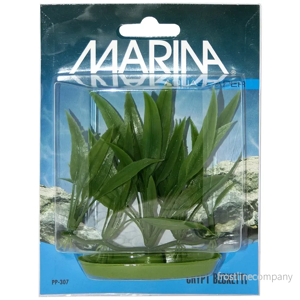 Marina Plastväxt Crypt Becketti 12cm – Naturtrogen akvarieväxt med rotbas Marina Plastväxt Crypt Becketti 12cm – Naturtrogen akvarieväxt med rotbas