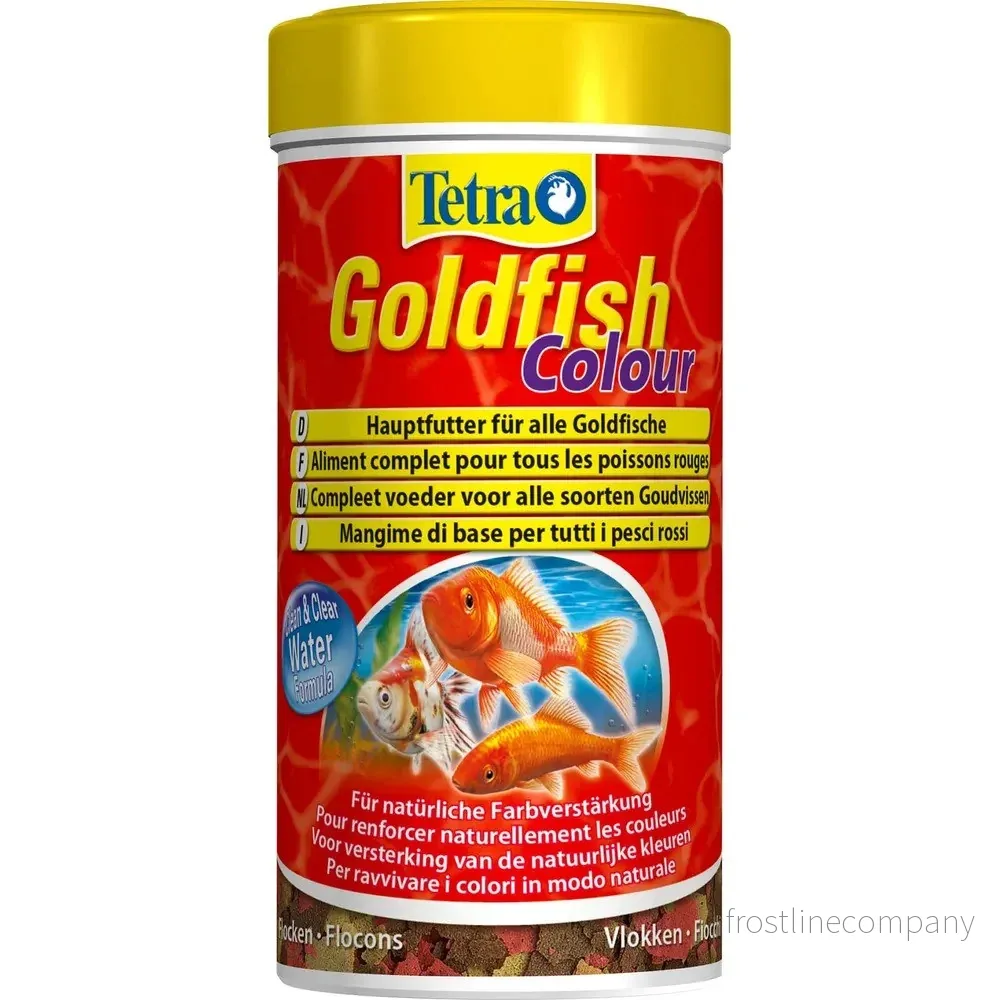 Tetra Goldfish Colour - Bild 2