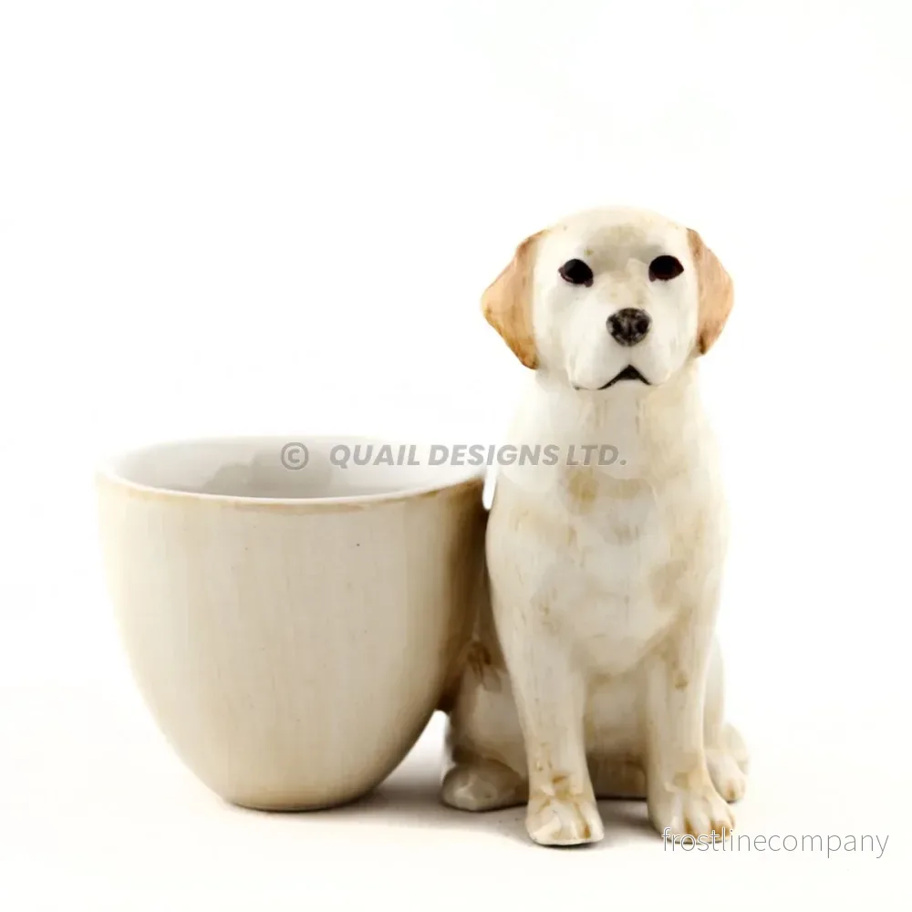 Äggkopp Labrador gul Äggkopp Labrador gul