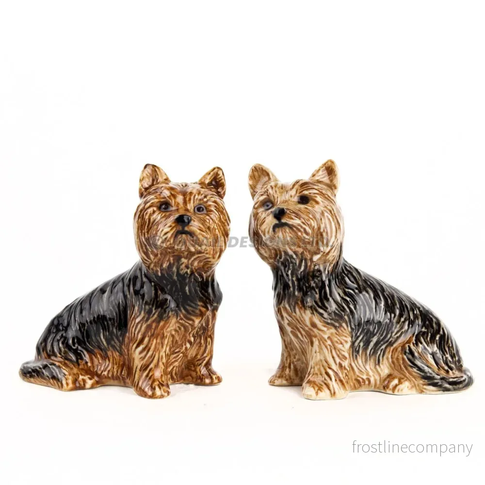 Salt och peppar Yorkshire terrier Salt och peppar Yorkshire terrier
