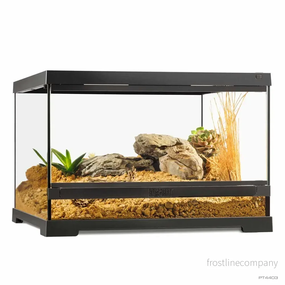 Exo Terra Pro Terrarium Small Low – Glasterrarium 45×45×30cm Exo Terra Pro Terrarium Small Low – Glasterrarium 45×45×30cm