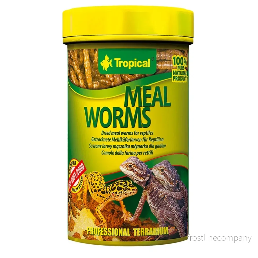 Tropical MealWorms Tropical MealWorms