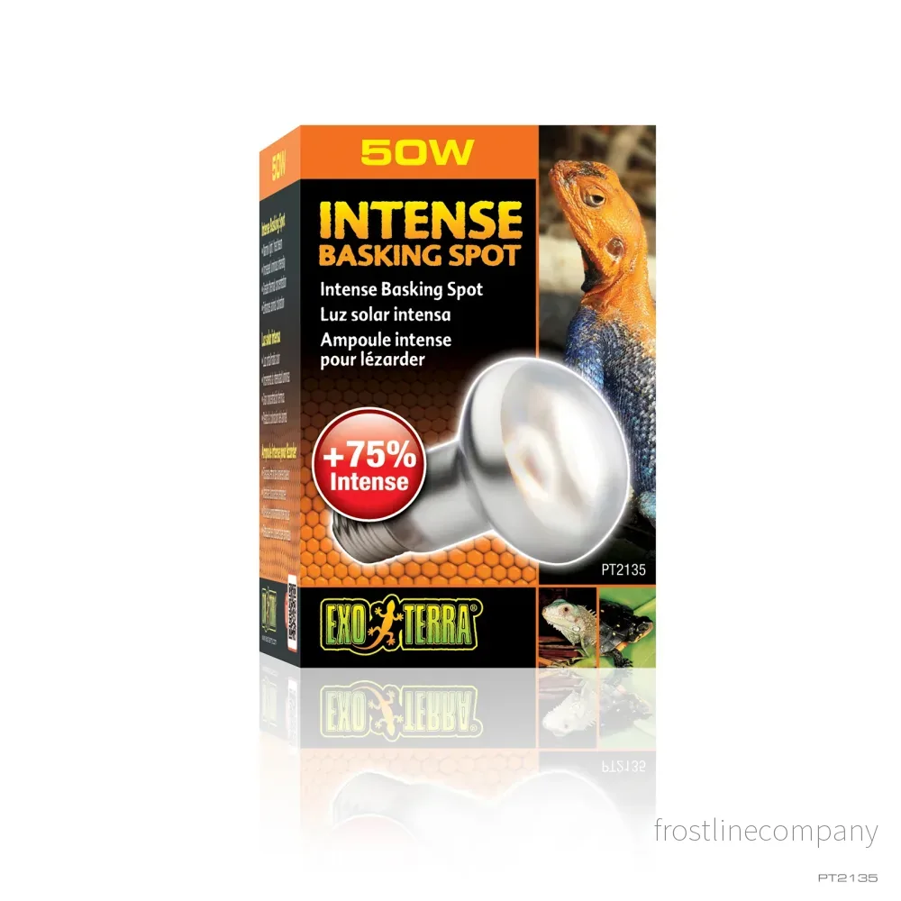 Exo Terra Intense Basking Spot - Bild 3