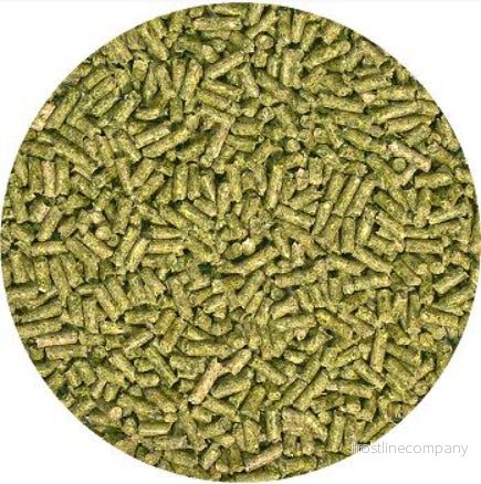 ZooMed Natural Adult Iguana Food 283g - Bild 2