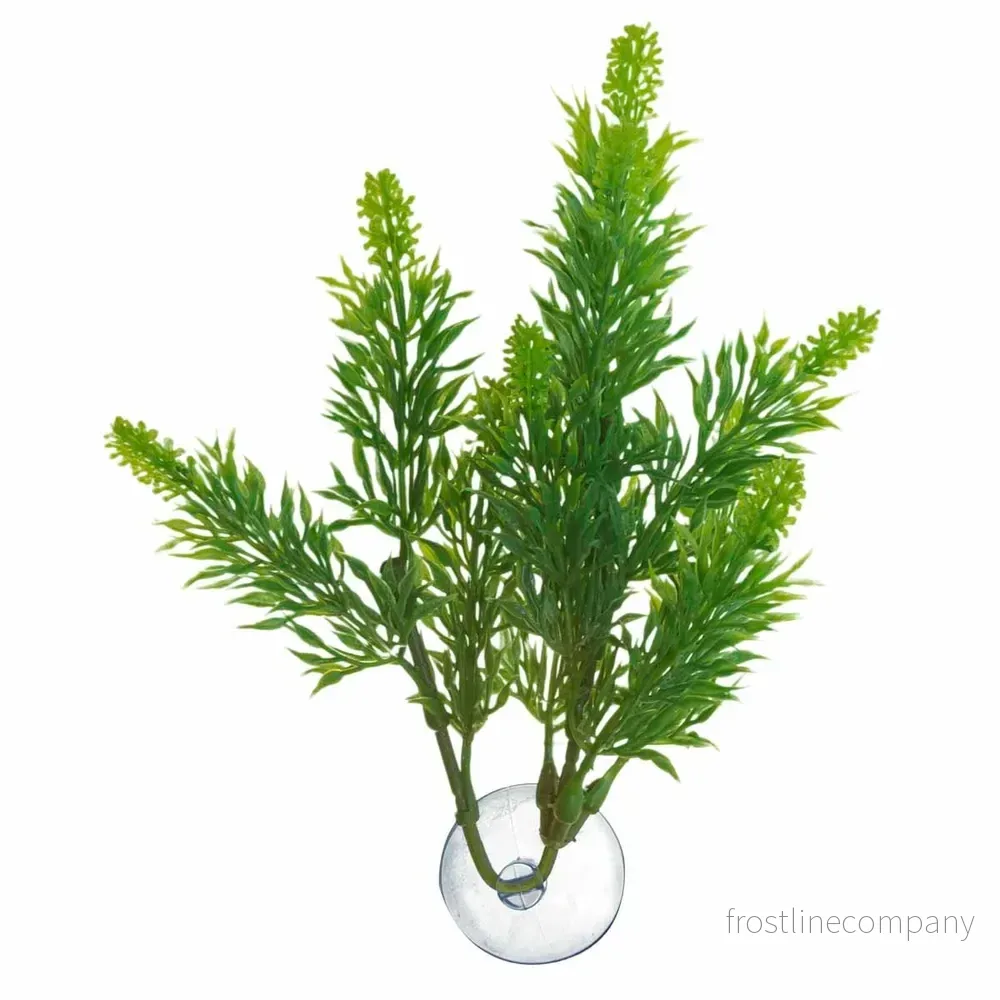 Zoo Med Betta Plastväxt Salvia med sugkopp ca.15cm – För Betta-skålar och nanoakvarier Zoo Med Betta Plastväxt Salvia med sugkopp ca.15cm – För Betta-skålar och nanoakvarier