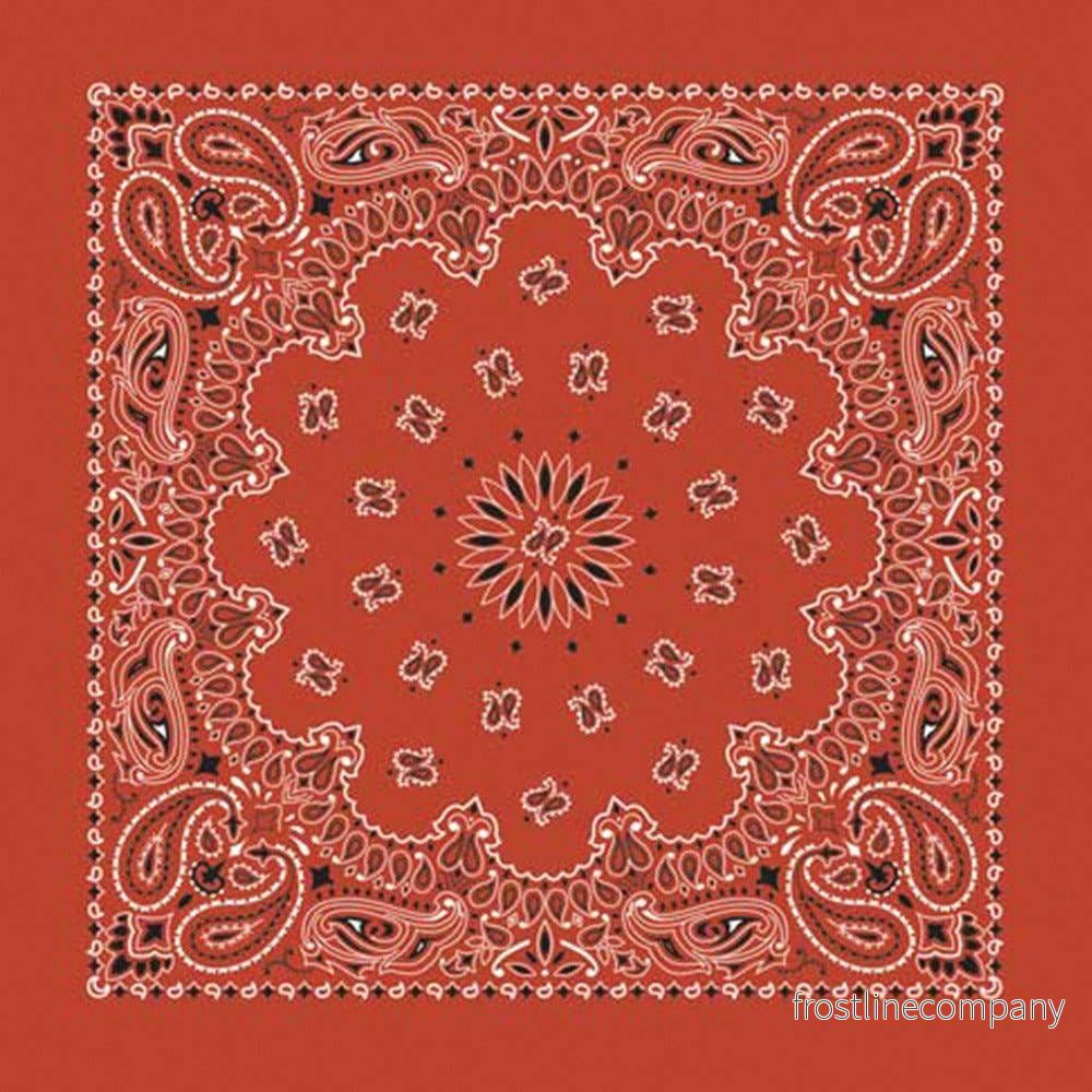Bandana Paisley Terracotta