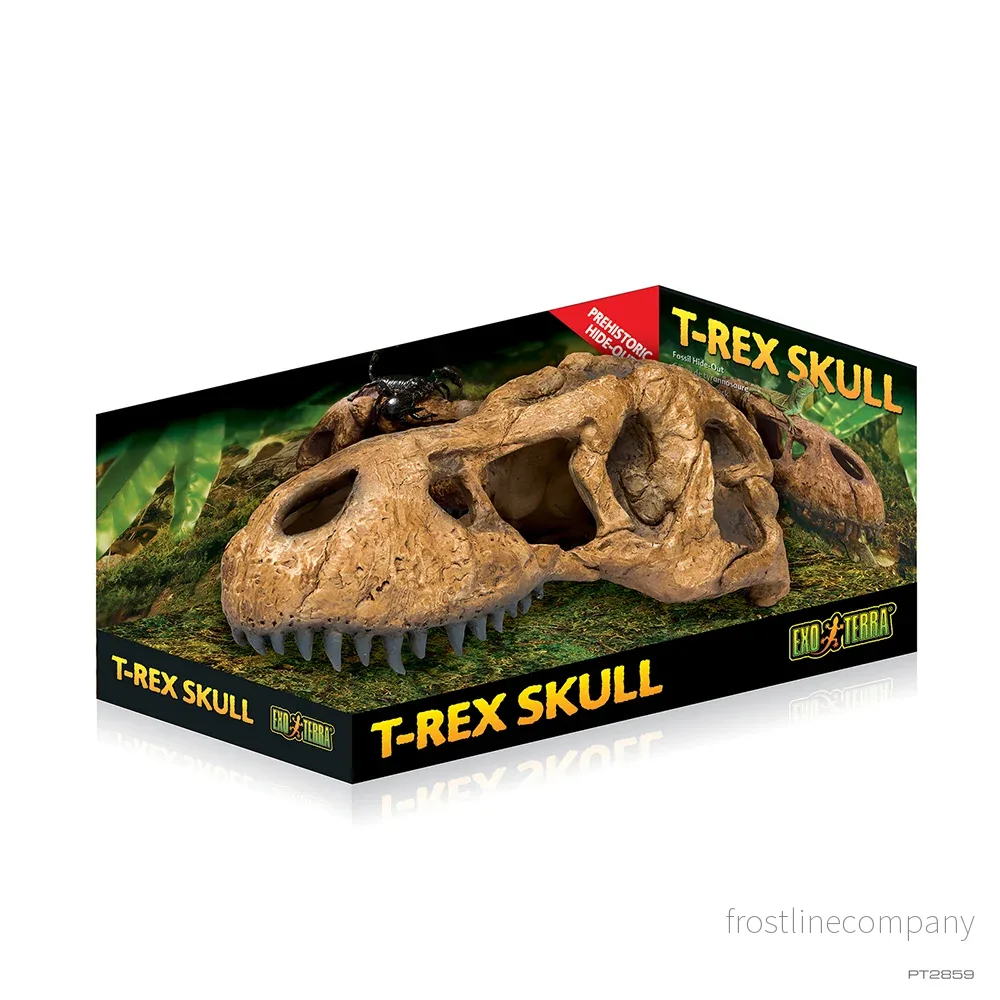 Exo Terra T-Rex Skull Exo Terra T-Rex Skull