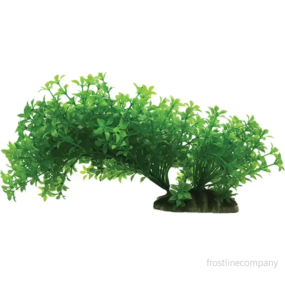 Ozami Plastväxt Böjbar – Flexibel akvarieväxt (8,5×12–20cm) - Bild 2