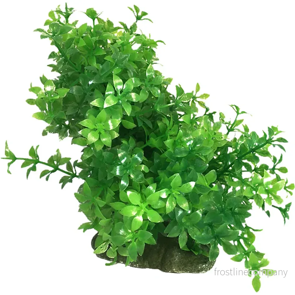 Ozami Plastväxt Böjbar – Flexibel akvarieväxt (8,5×12–20cm) Ozami Plastväxt Böjbar – Flexibel akvarieväxt (8,5×12–20cm)
