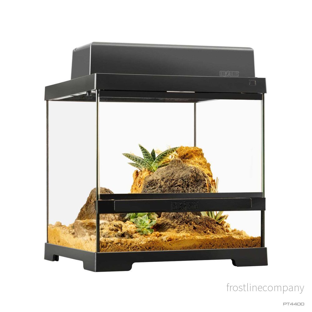 Exo Terra Pro Terrarium X-Small Wide – Glasterrarium 30×30×30cm - Bild 3