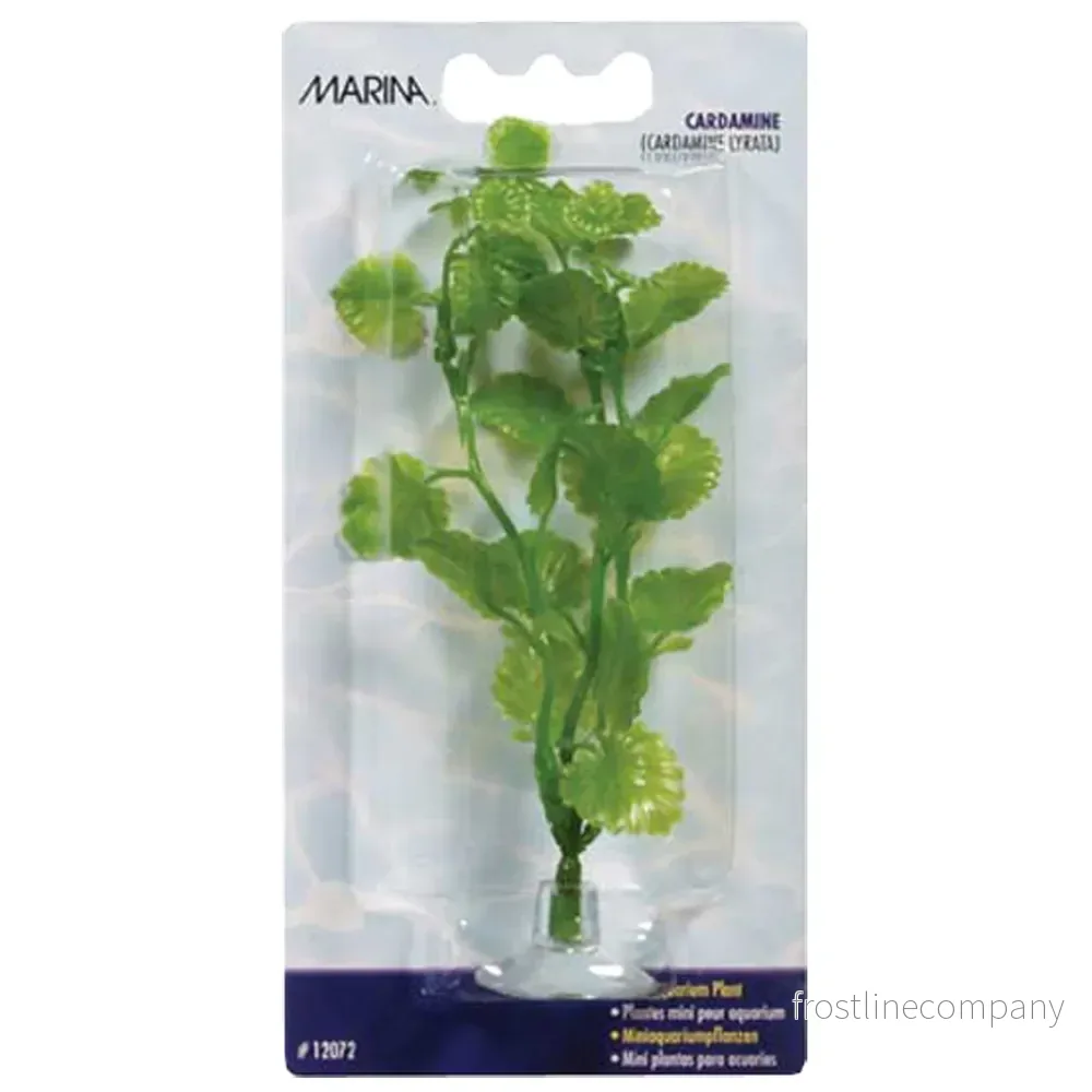 Marina Plastväxt Cardamine Mini 10cm – Med sugkopp Marina Plastväxt Cardamine Mini 10cm – Med sugkopp