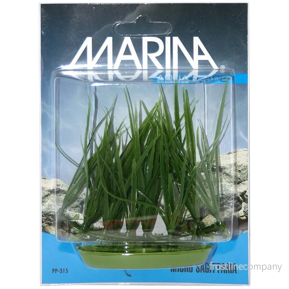 Marina Plastväxt Micro Sagittaria 10cm – Låg gräsliknande förgrundsväxt