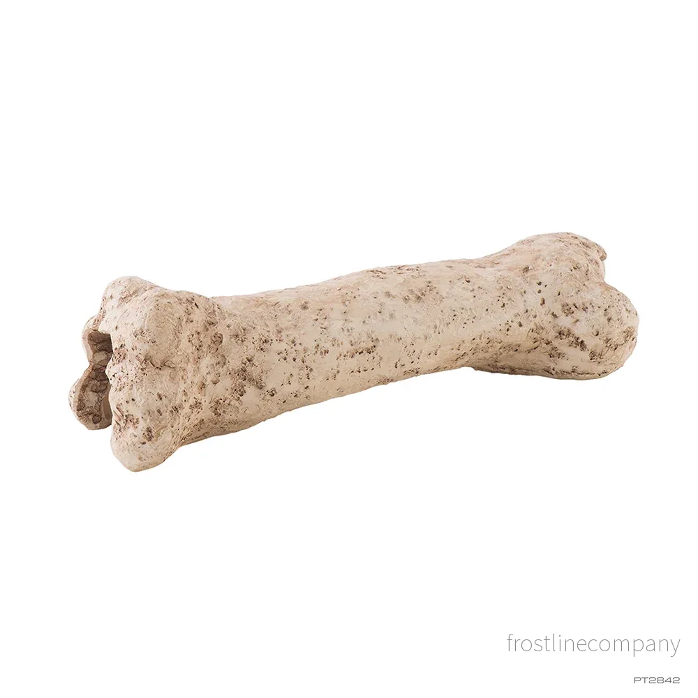 Exo Terra Dinosaur Bone