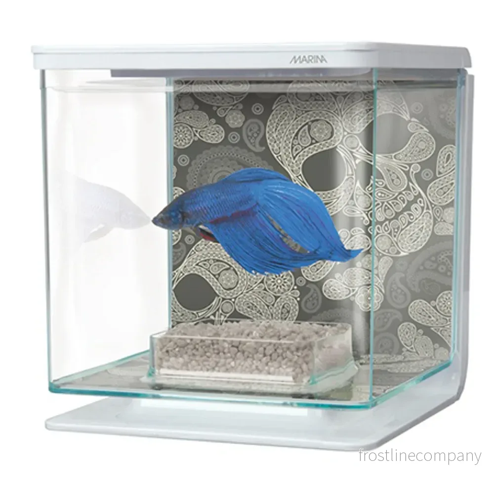 Marina Betta Kit – Skull 2 L Vit