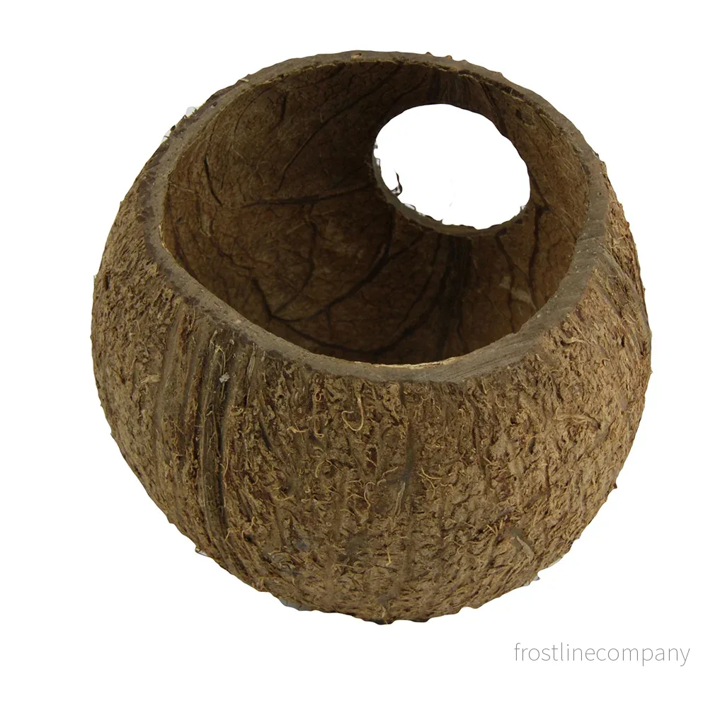 JBL Cocos Cava 3/4 Large - Bild 3