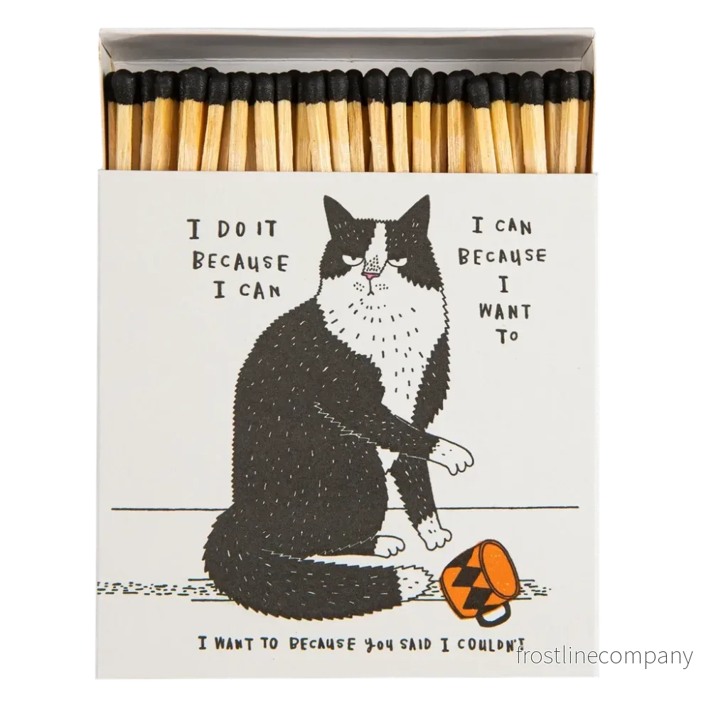 Tändstickor Archivist – I do it because I can Tändstickor Archivist – I do it because I can