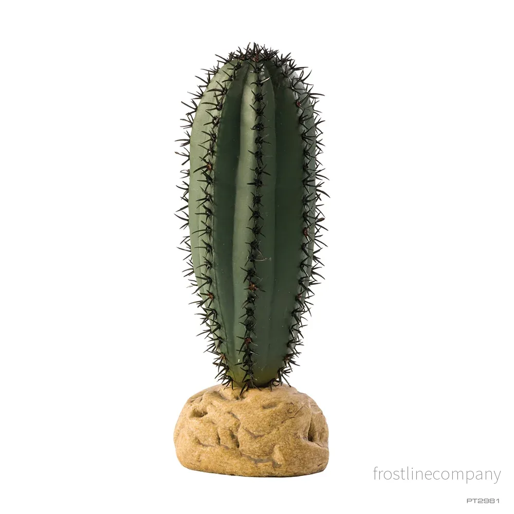 Exo Terra Saguaro Cactus Exo Terra Saguaro Cactus