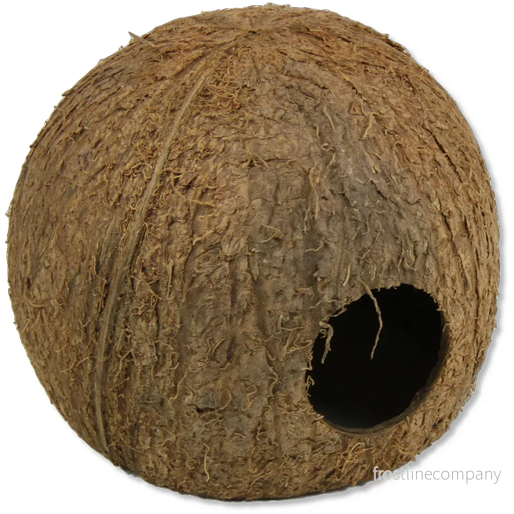 JBL Cocos Cava 3/4 Large - Bild 2