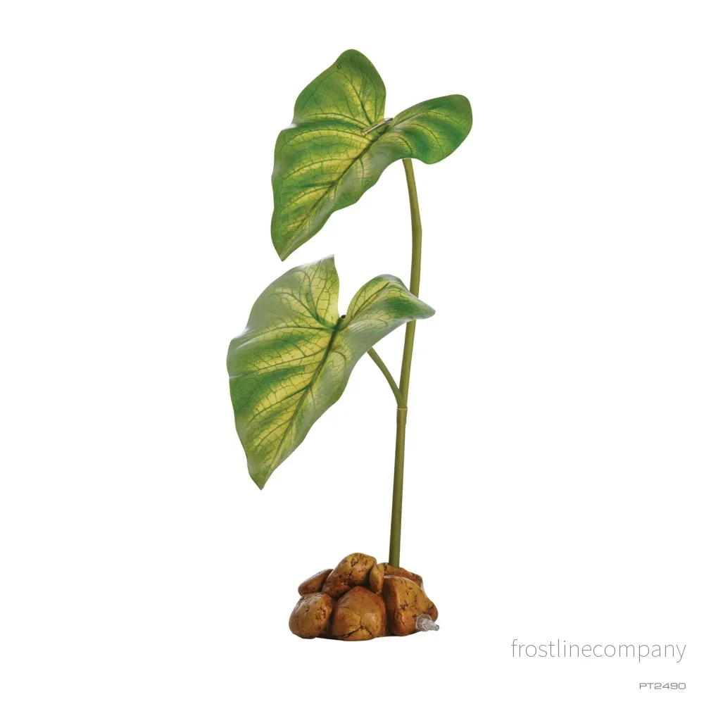 Exo Terra Dripper Plant Exo Terra Dripper Plant
