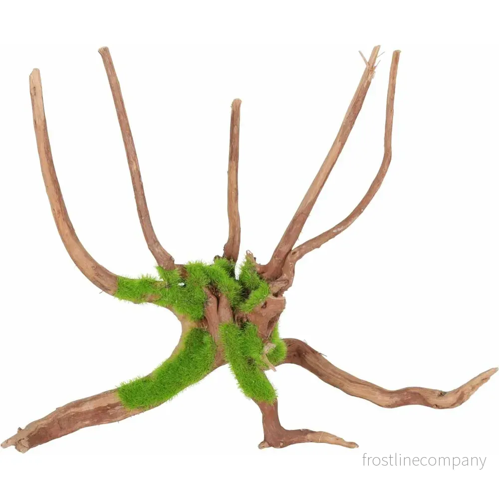 Zolux Kipouss Spider Root M med Växtfrön – Levande rotgrönska för akvarium