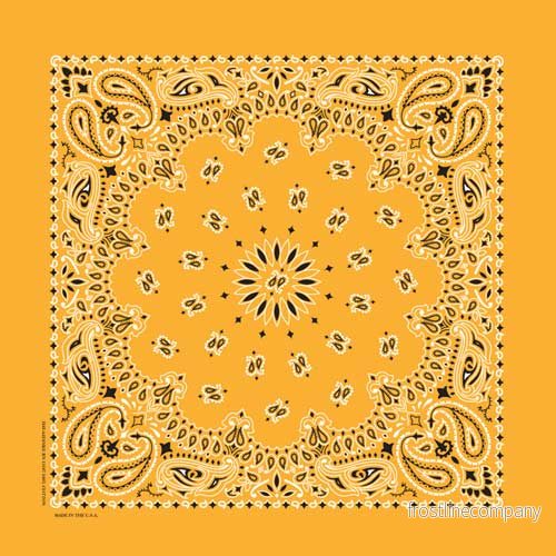 Bandana Paisley Gulockra Bandana Paisley Gulockra