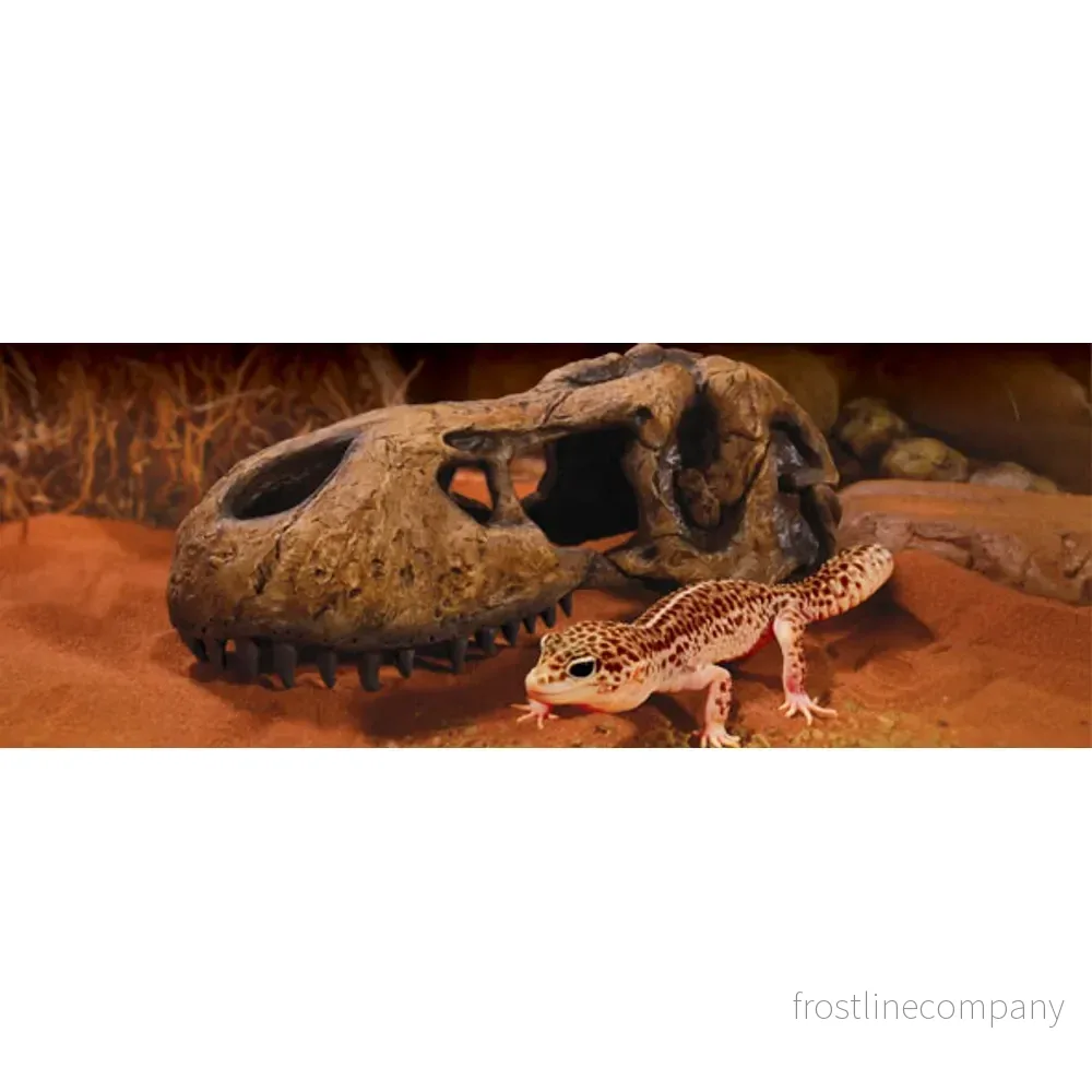 Exo Terra T-Rex Skull - Bild 3