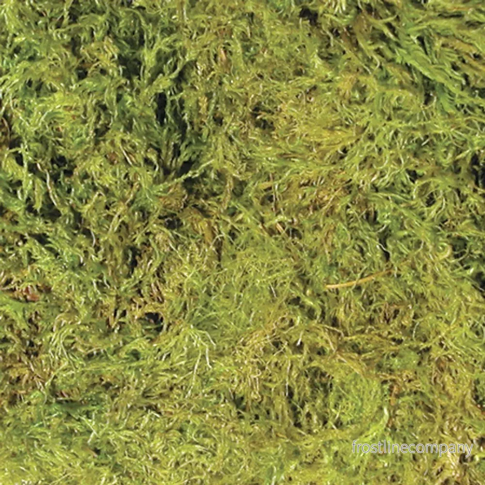 ZooMed Terrariemossa 5,62 Liter - Bild 2