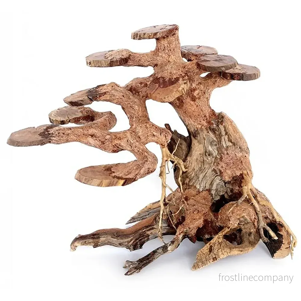 Ozami Bonsai Wood – Bonsaiträd i naturträ 23×17×10cm Ozami Bonsai Wood – Bonsaiträd i naturträ 23×17×10cm