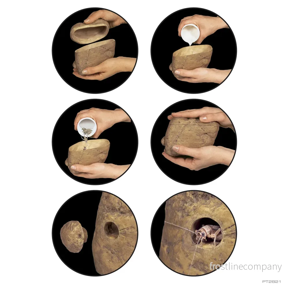Exo Terra Feeding Rock - Bild 3