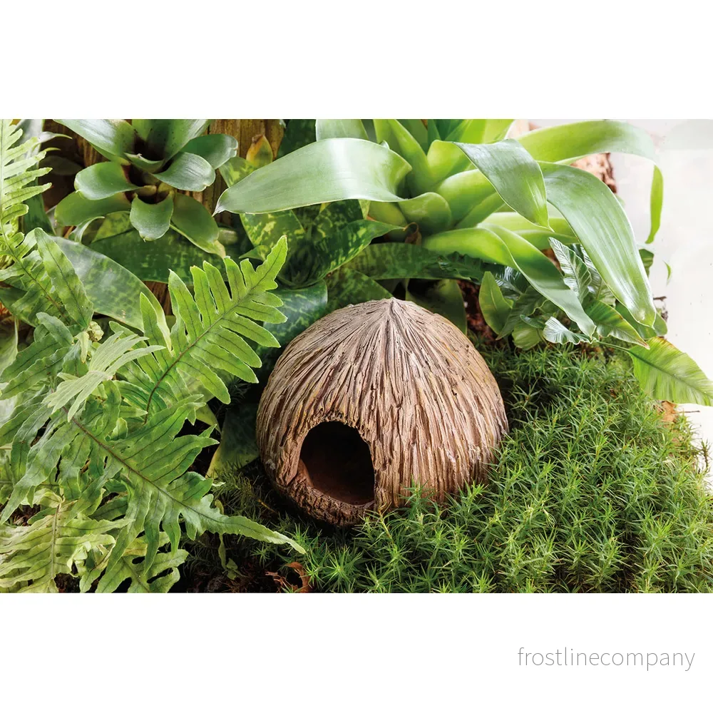 Exo Terra Coconut Cave - Bild 3